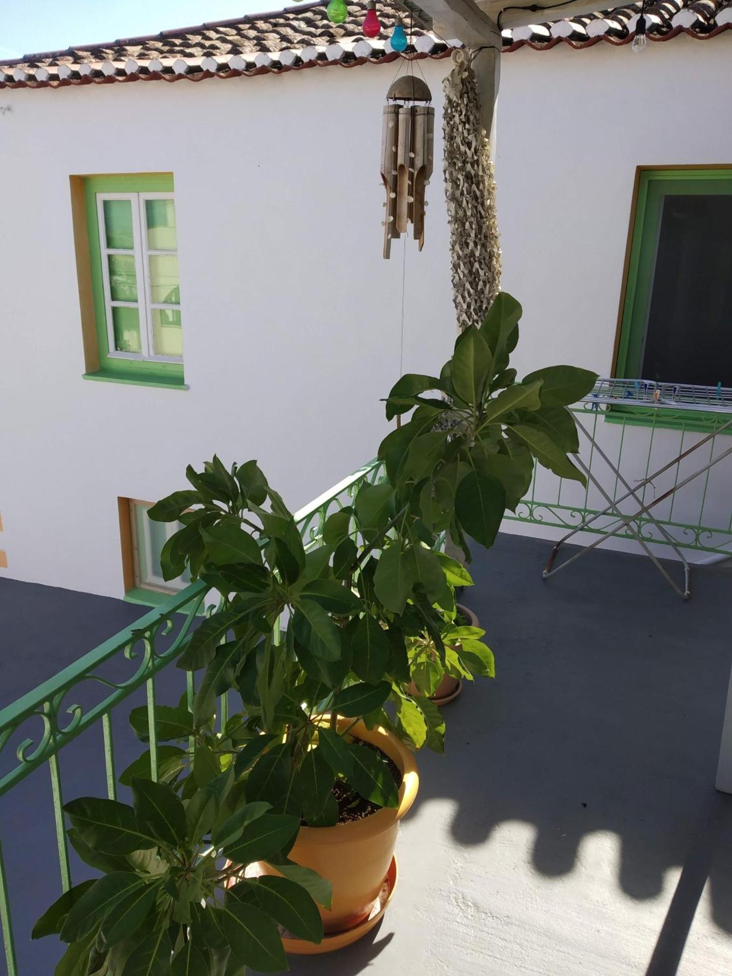Vaggelis Traditional House Spetses Town Екстер'єр фото